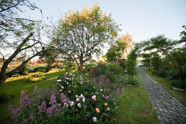 Westella Colonial B&B Accommodation アルバーストン エクステリア 写真
